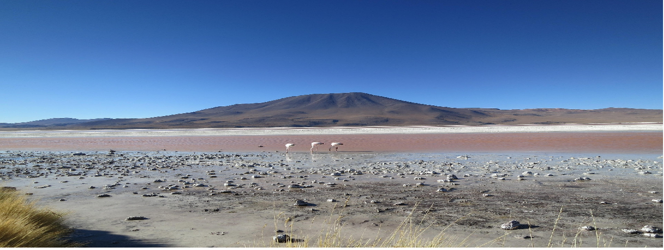 Bolivia Esencial 